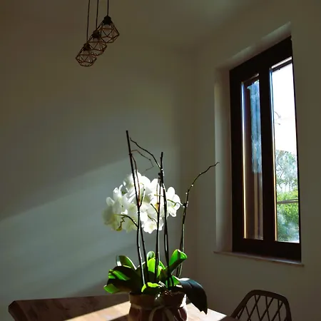 Il Giardino Del Tempio 4* أغريجنتو